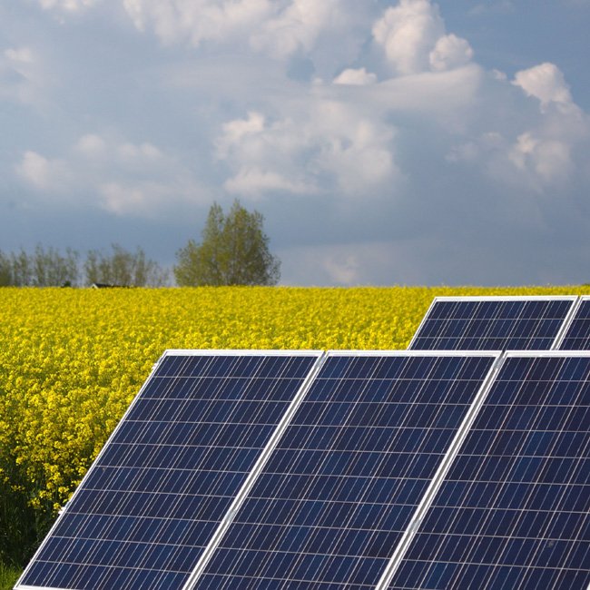 solar panel installed on the ground space