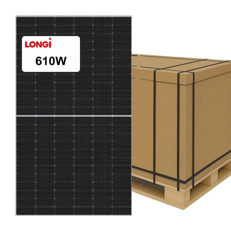 Longi 610W Solar Panels Bifacial Dual Glass